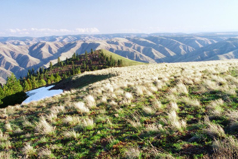 Fields Spring State Park, Washington, USA